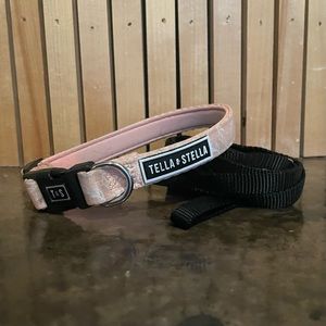 Tella & Stella Puppy collar and leash combo